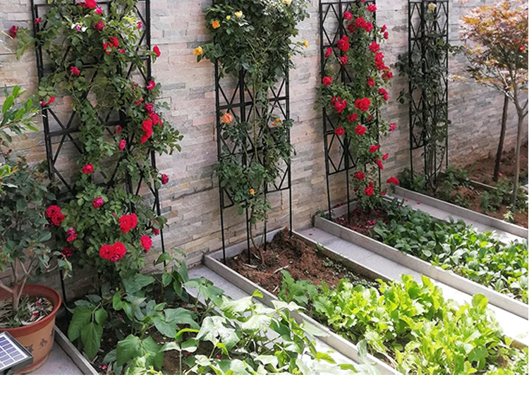 Rose Trellis (1).jpg