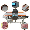 Large Multifunctional Metal Detector For Food Metal Detector For Food Processing Industry