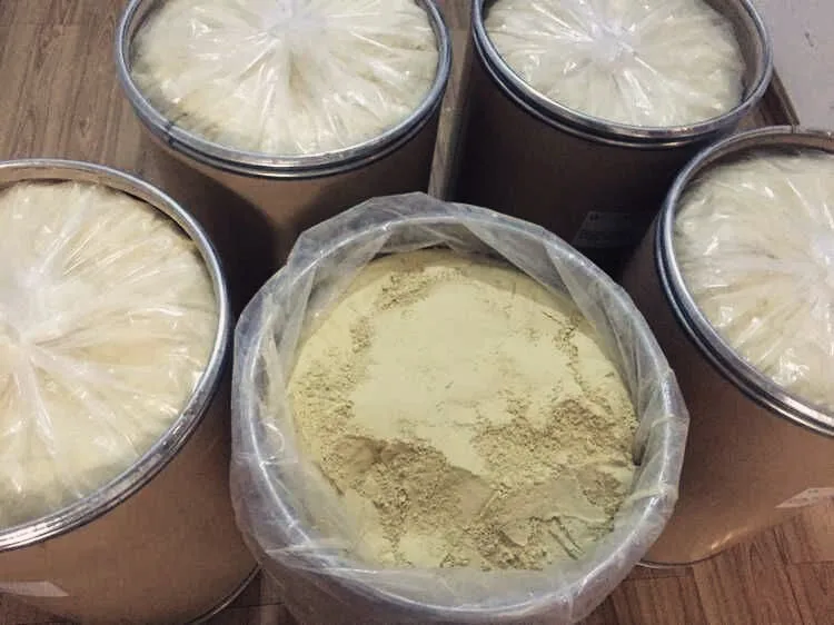 Galla Chinensis Extract Manufacturers - High Quality Tannin Powder