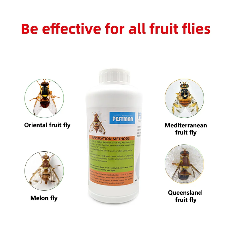 Pestman Fruit Fly Attractant Pheromone Traps Buy Pestman Fruit Fly