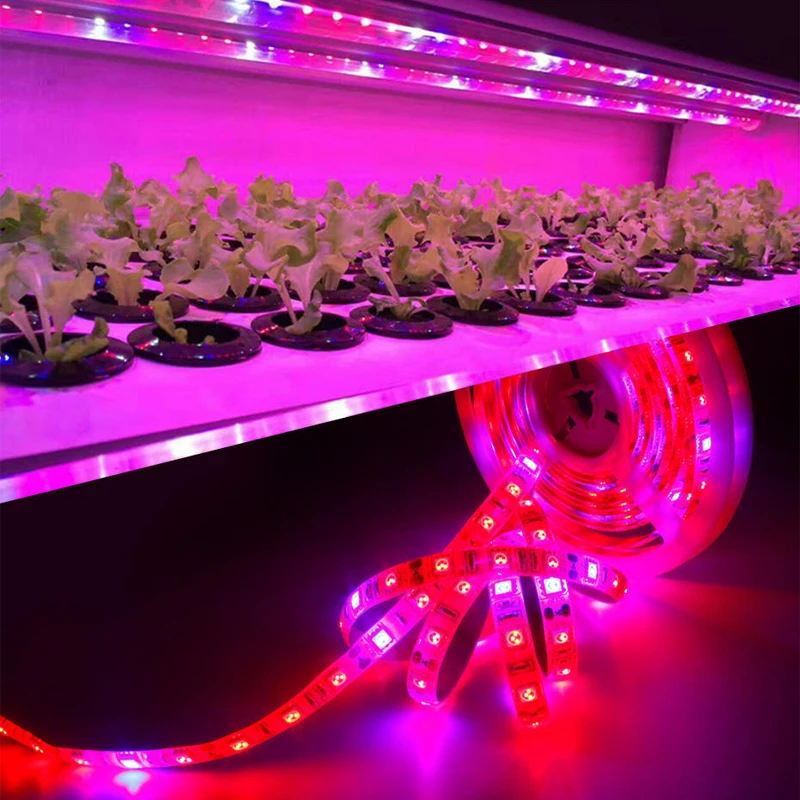 全光谱led植物生长灯usb led植物生长带5050 2835 smd 1m 2m fitolam