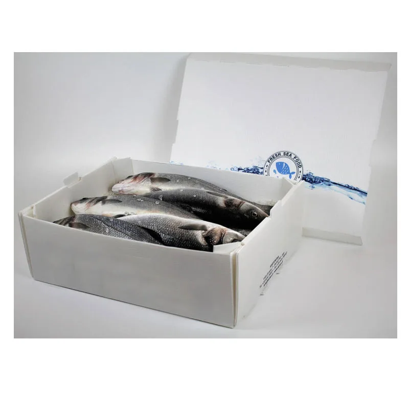 Factory Plastic Pp Hollow Sheet Frozen Fish Packing Boxes Fish Seafood