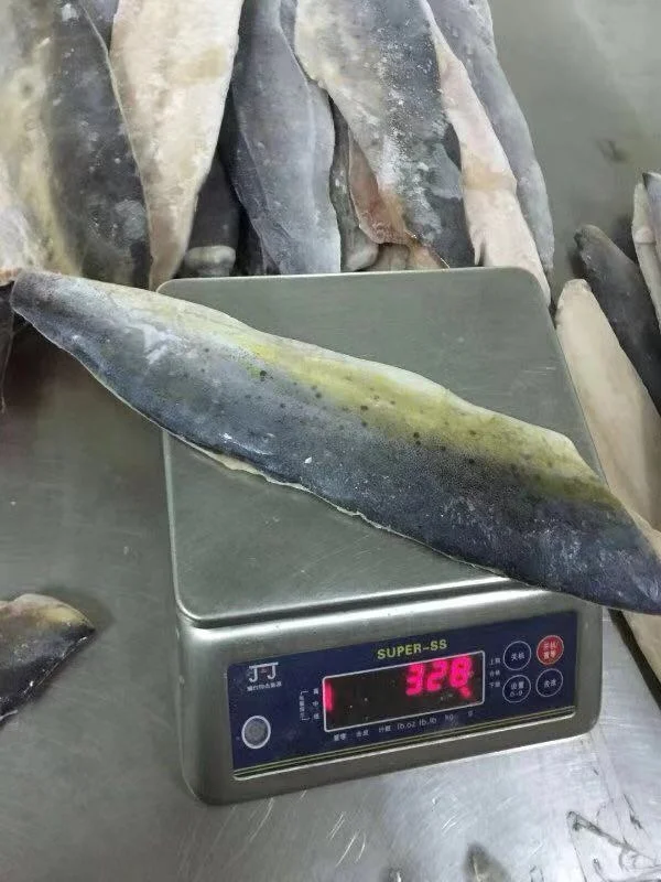 mahi mahi 5.jpg