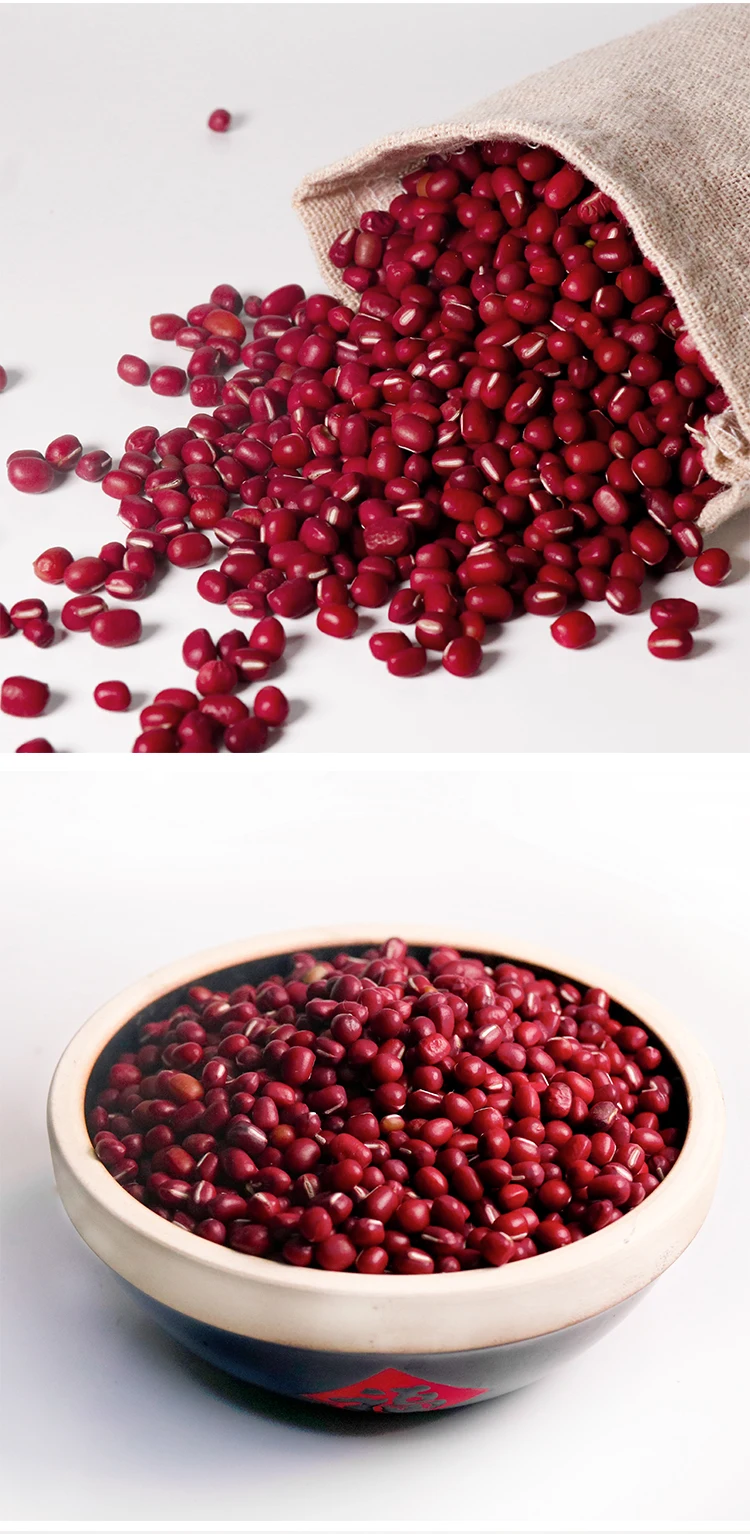 High Quality Bulk Dried Small Red Beans With Good Price