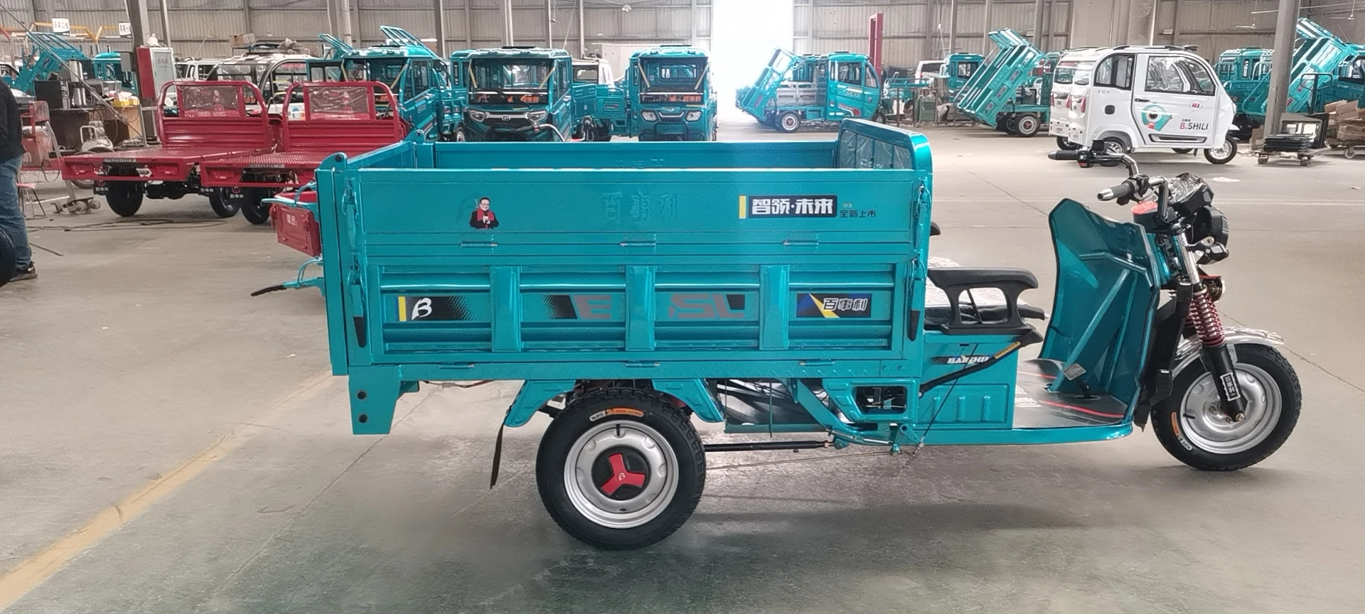 Electric Assist Cargo Tricycle Three Wheel Electric Tricycle Cargo For