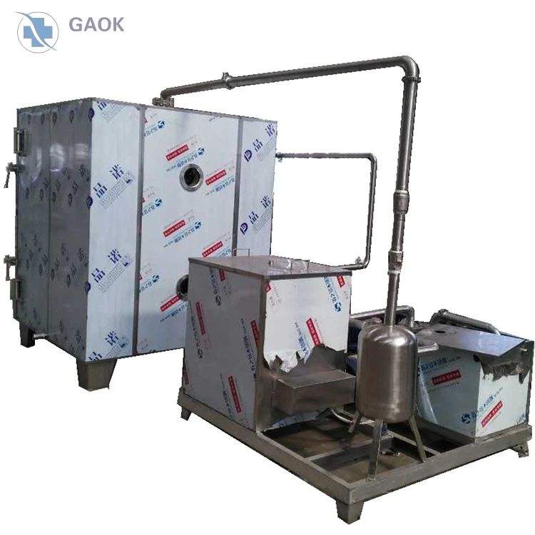 vacuum oven (9)