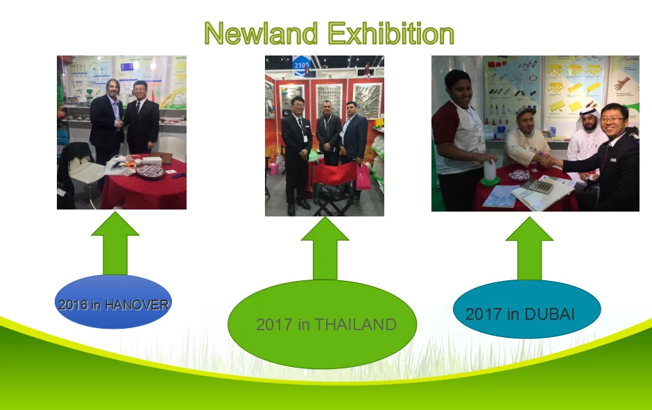 newland exhibition.png