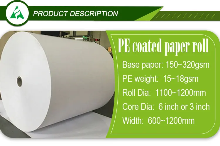 Factory Pe/ple Coated Paper Roll High Quality Single Double Wall Paper Cup Bowls paper Raw Material