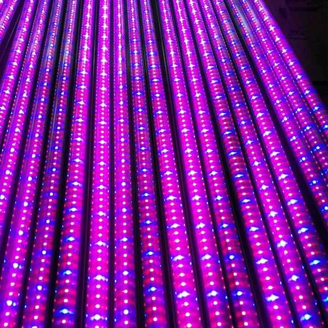 30/60/90/120/150cm different wattage T8 led plants grow light