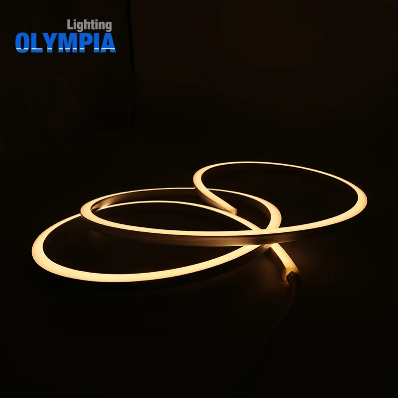 Best quality outdoor product IP68 waterproof strip light Led Neon strip