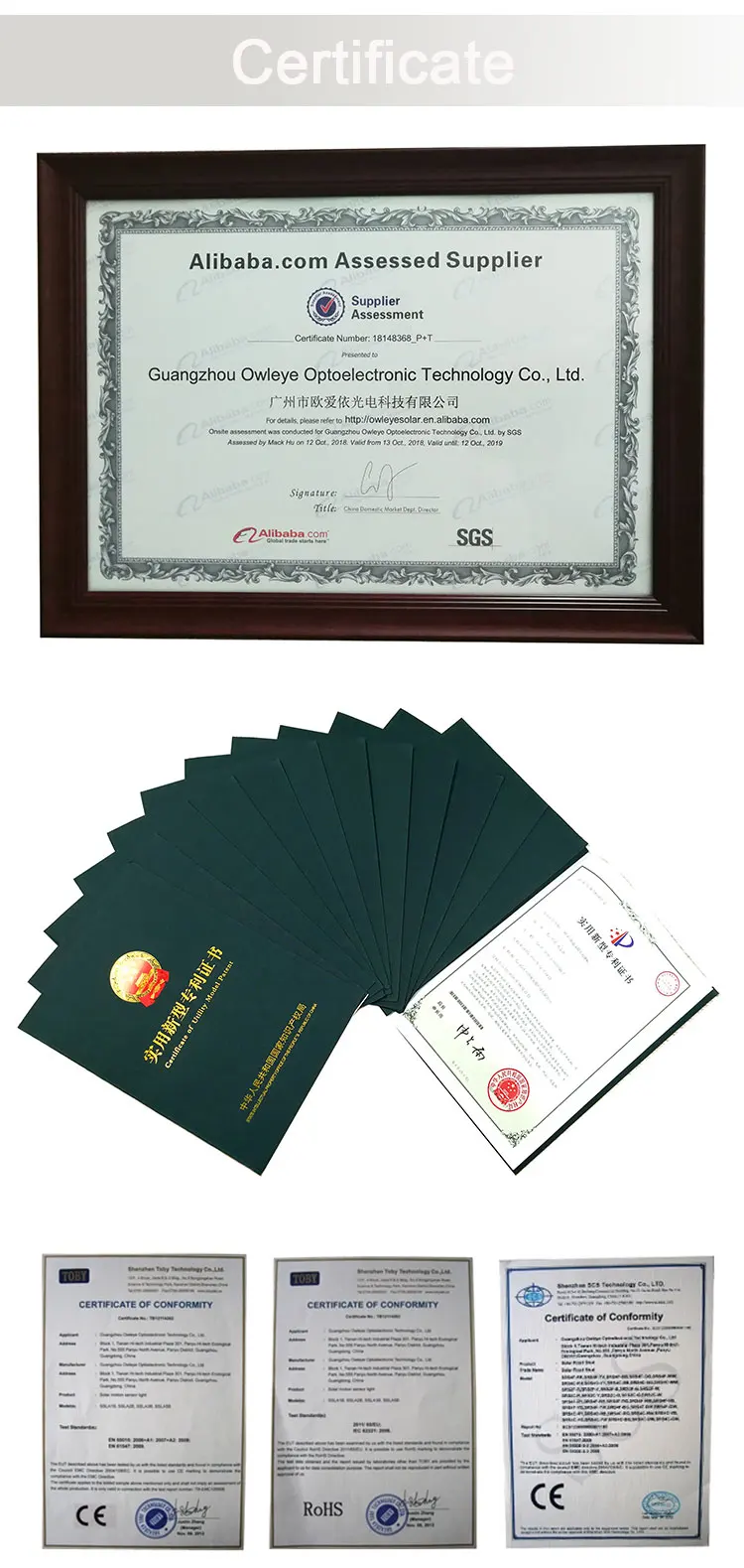 certificate_02.jpg