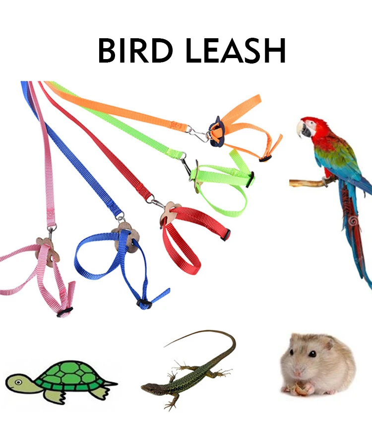 multicolor adjustable parrot bird harness leash