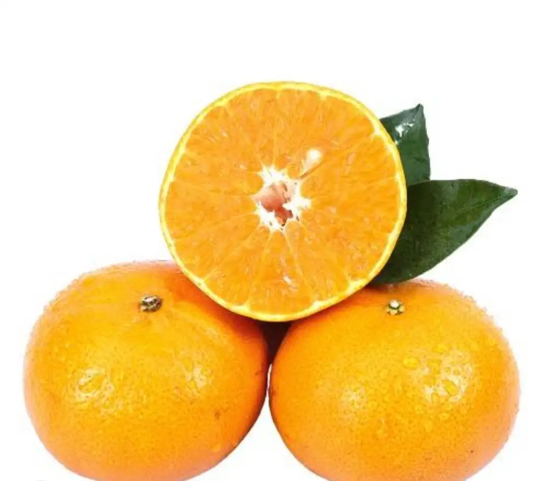 Dried Mandarin Oranges From Thailand Dried Fruit Snack Made From Natural Ingredient Original And