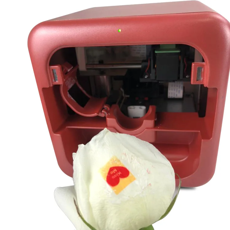Nailgogo T8 Impresora Para Flores Smart Speaking Flower Printer Art  Painting Designs Impresora De Rosas - Buy Impresora Para Flores Maquina  Impresora De Rosas,Impresora De Rosas Flower Speaking Flower Printing  Machine,Speakin Rosas