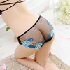 /product-detail/nylon-sexy-lace-transparent-low-waist-women-s-underwear-62308624910.html