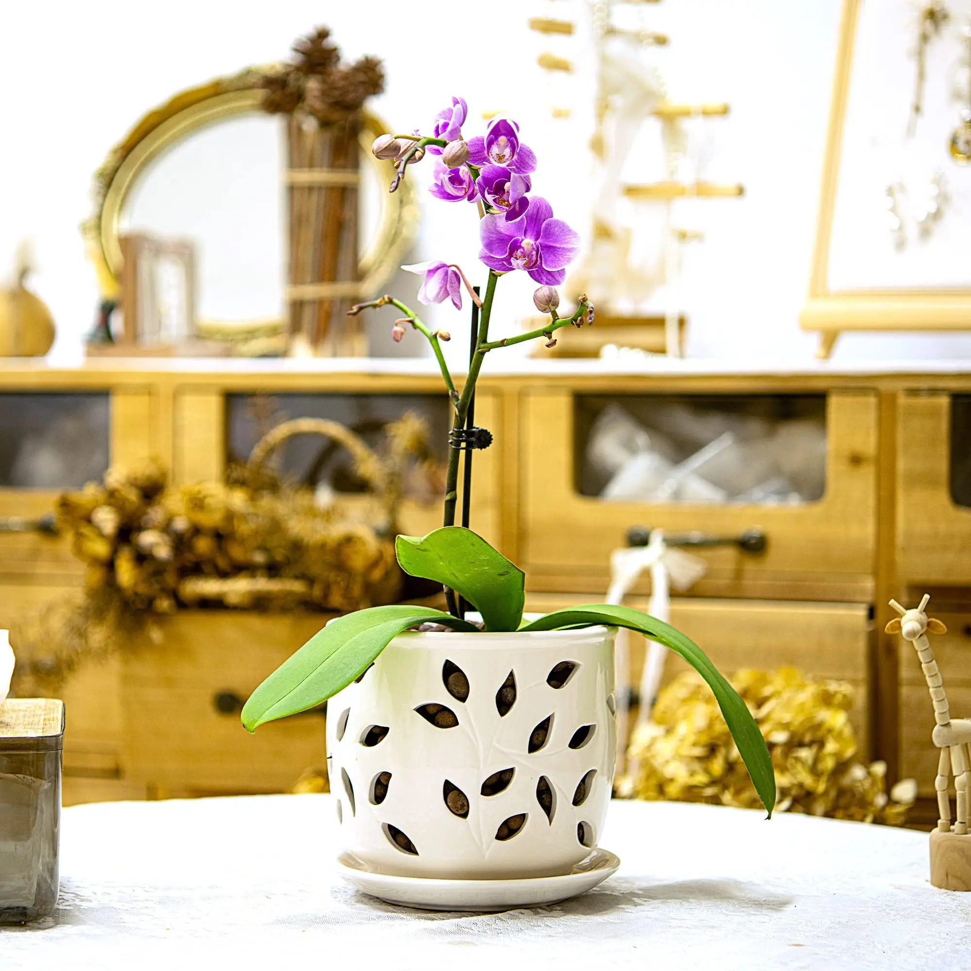 Ceramic Orchid Pot With Holes & Saucer 6.5" - Attractive Floral Design,Decorative Large Size,Easy Plant for Home Decor details