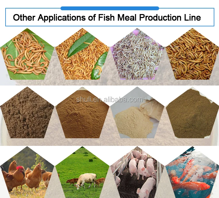 Factory Peru Forage Fishmeal Production Line Fish Meal Powder Machine