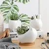 APHACATOP Wholesale Indoor White Ceramic Small Mini Animal Stone Succulent Cactus Flower Pots for Plant