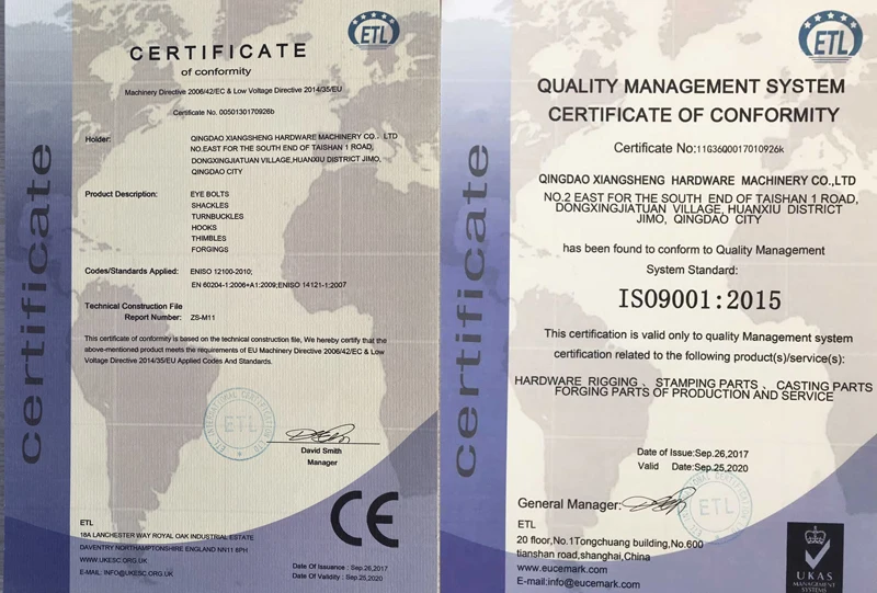ISO AND CE.jpg