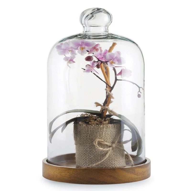 Transparent glass cover storage tank food cover kitchen fresh-keeping cover_1