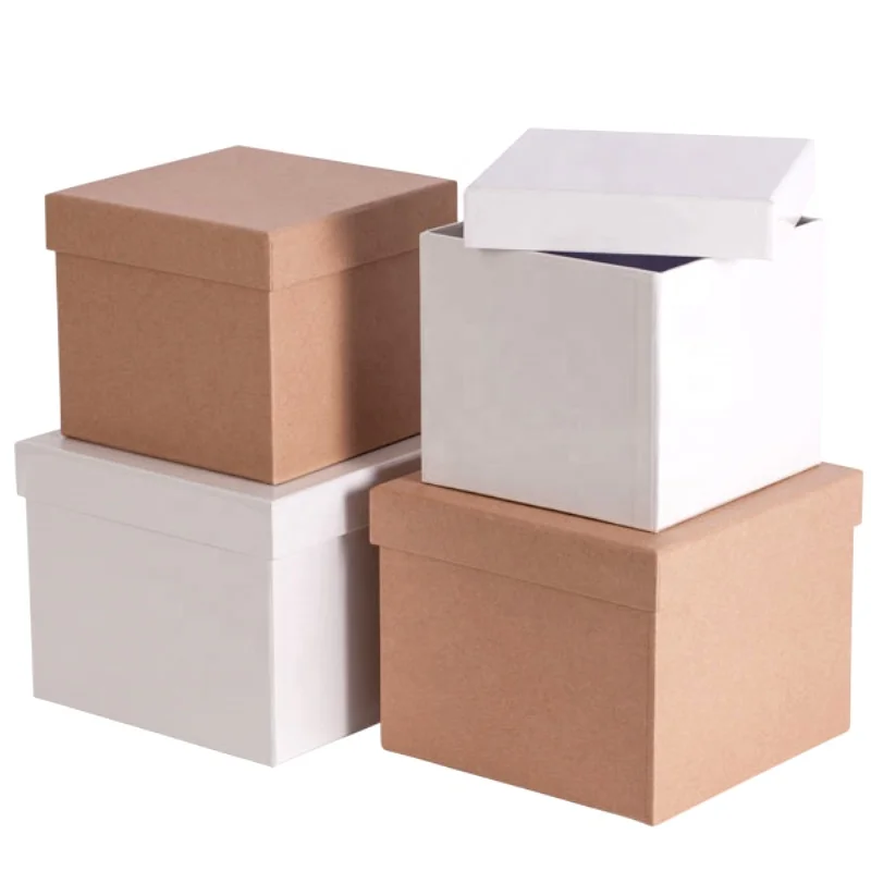 Коробка 50 50 5. Картонная коробка с крышкой. Короб картонный с крышкой. Коробка для хранения картонная белая. Коробка белая картонная с крышкой.