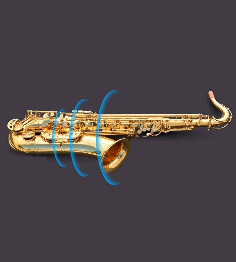 Gold Lacquer Instrument Accessories  China Sax Professional Bb Tenor Saxophone