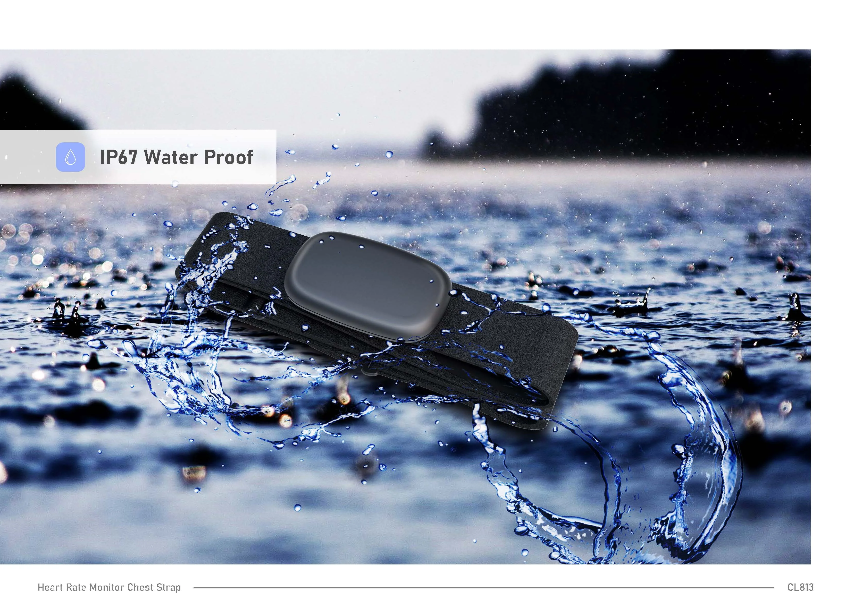 CL813 introduction__4(1).jpg