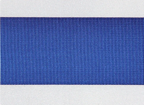 Belt Cassette (2).jpg