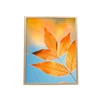 photo frame glass photo framework glass