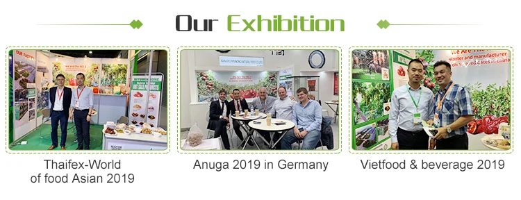 Exhibition.png