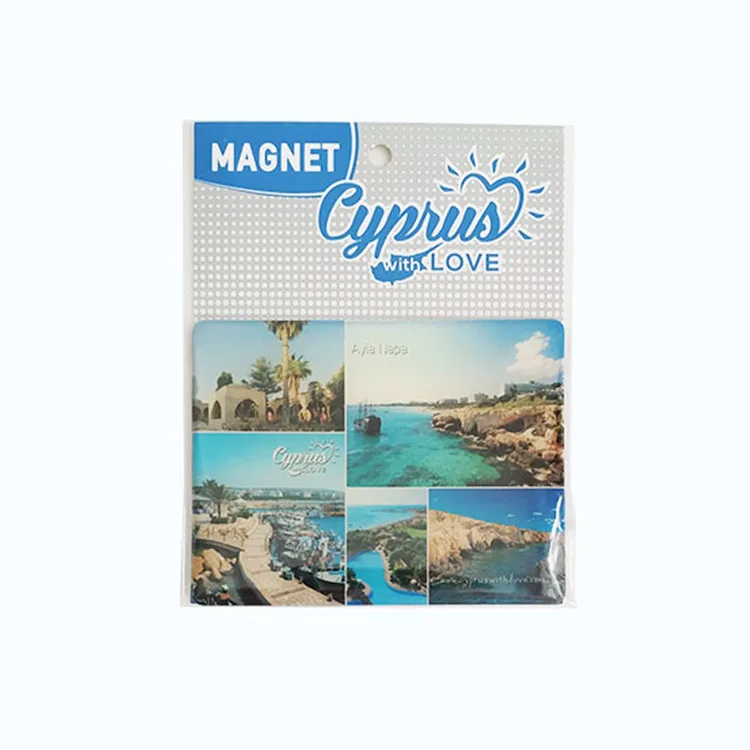 epoxy fridge magnet01-8