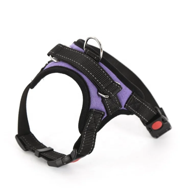 dog Harness vest purple.jpg