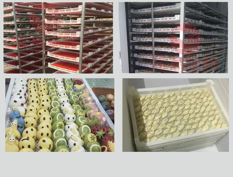 dry frozen tray (11).jpg