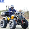 /product-detail/agy-4-wheeler-250cc-300cc-quad-bikes-60799551228.html