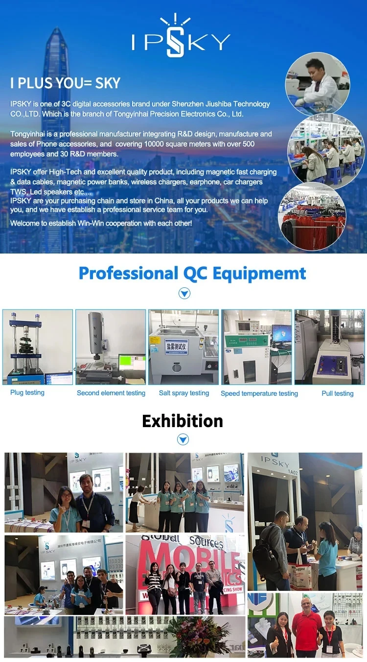 IPSKY company.webp.jpg