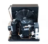 Tecumseh CAJ2446Z R404a compressor condenser unit