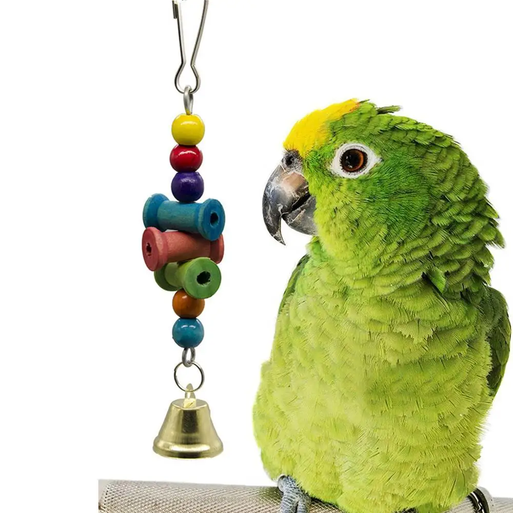 Venta al por mayor fotos loros papagayos-Compre online los mejores