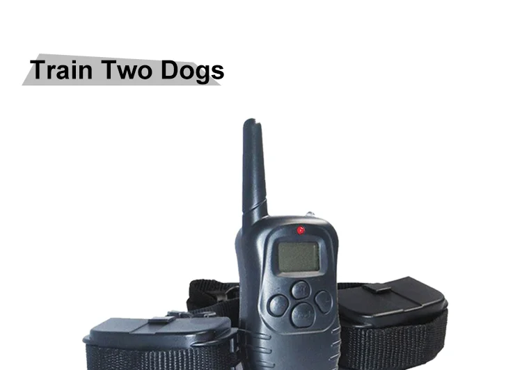 Dog Shock E Collar (5).png