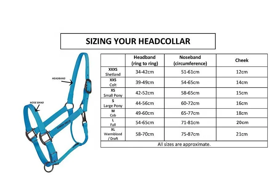 Customized Head Collar Pvc Horse Halter With Solid Brass Fittings Buy