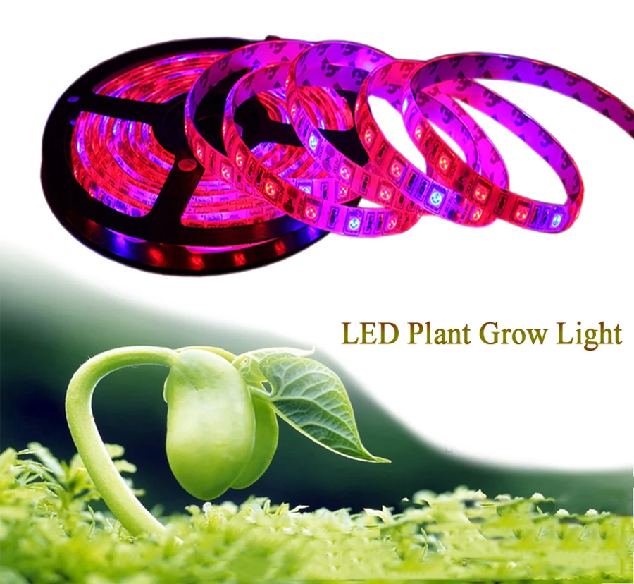 China Factory wholesale DC12v 5m 300leds LED Plant Flower Vegetable Grow Strip Lights for green house Farm Hacienda
