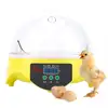 /product-detail/popular-selling-automatic-incubator-poultry-incubator-brooder-7-eggs-mini-egg-incubator-62281294211.html