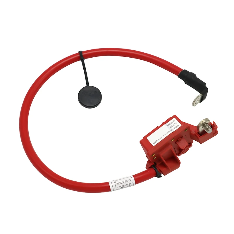 61129225099 Automobile Positive Battery Lead For Bmw X3 F25 Battery