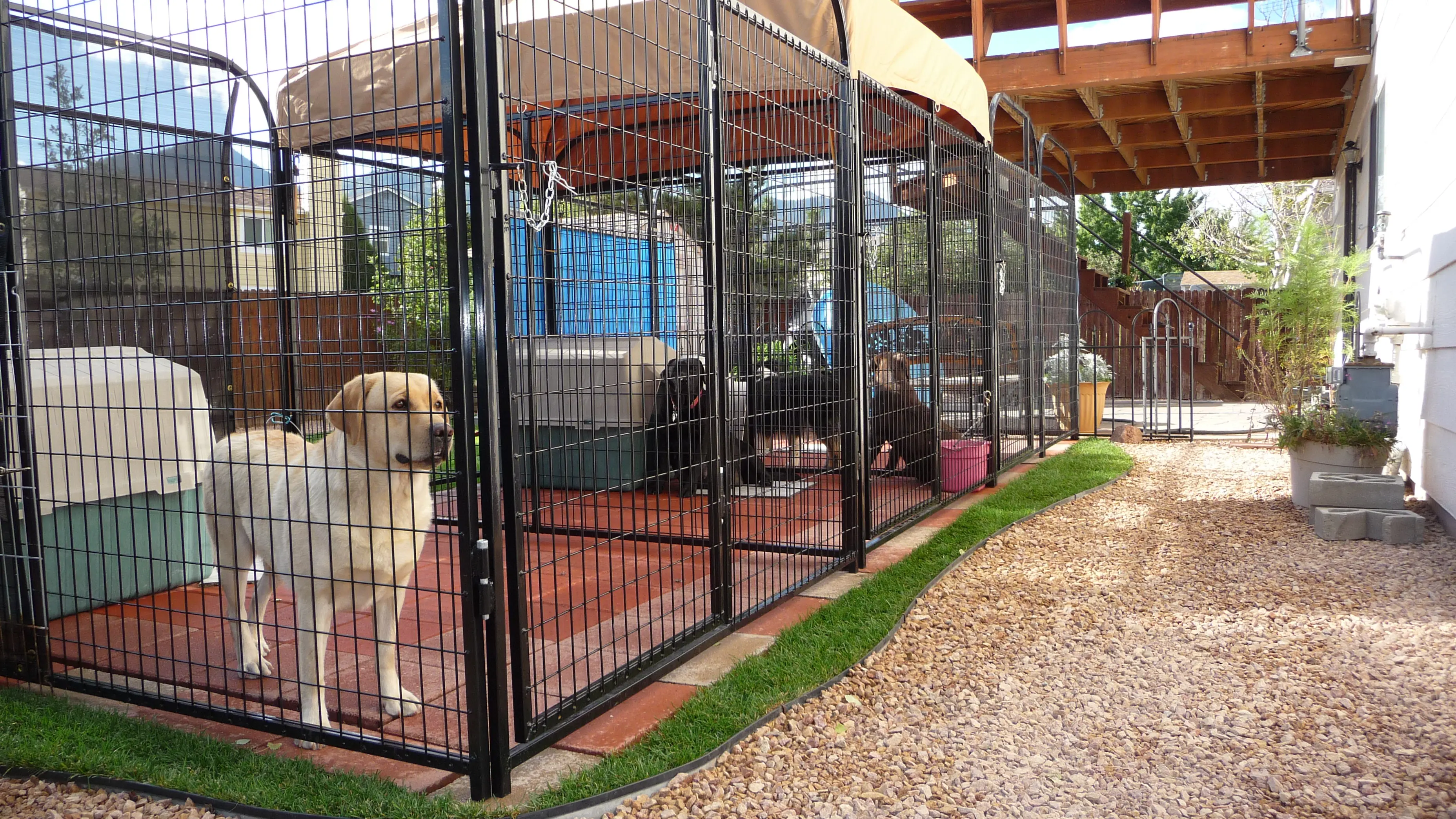 Galvanised Cute Indoor Dog Cages & Large Outdoor Kennels - Buy ...