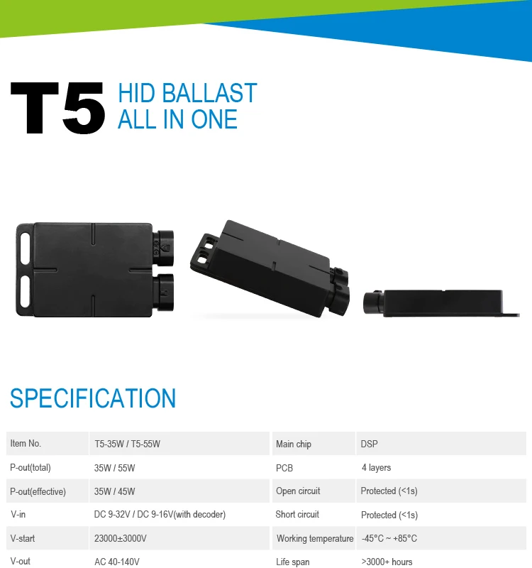 20200617-T5- (1).jpg