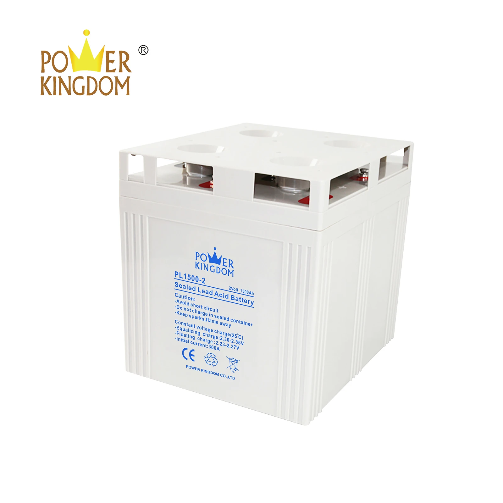Power Kingdom advanced plate casters agm deep cycle batteries for sale customization Automatic door system-2