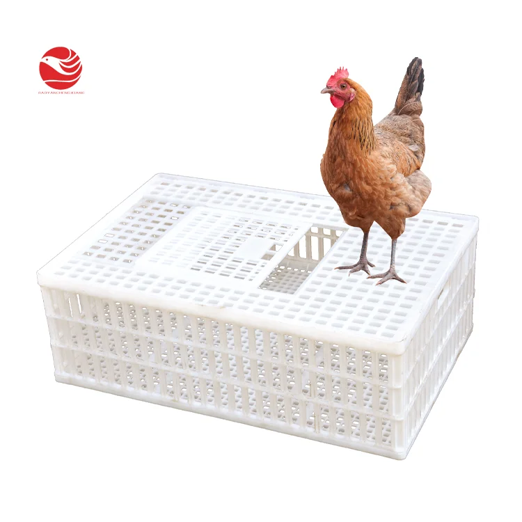 900 600 270mm Plastik Tavuk Bildircin Icin Kafes Kumes Hayvanlari Tasima Kafesi Buy Bildircin Kafesi Kumes Hayvanlari Tasima Kafesi Plastik Tavuk Tasima Kafesi Product On Alibaba Com 900 600 270mm Plastik Tavuk Bildircin Icin Kafes Kumes Hayvanlari Tasima Kafesi Buy Bildircin Kafesi Kumes Hayvanlari Tasima Kafesi Plastik Tavuk Tasima Kafesi Product On Alibaba Com