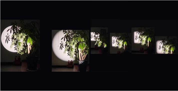 paste-pic-dp_uuid_77s85