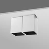 LED Light Source IP20 2 Heads 2x7W Aluminum Surface Mounted Ceiling Light