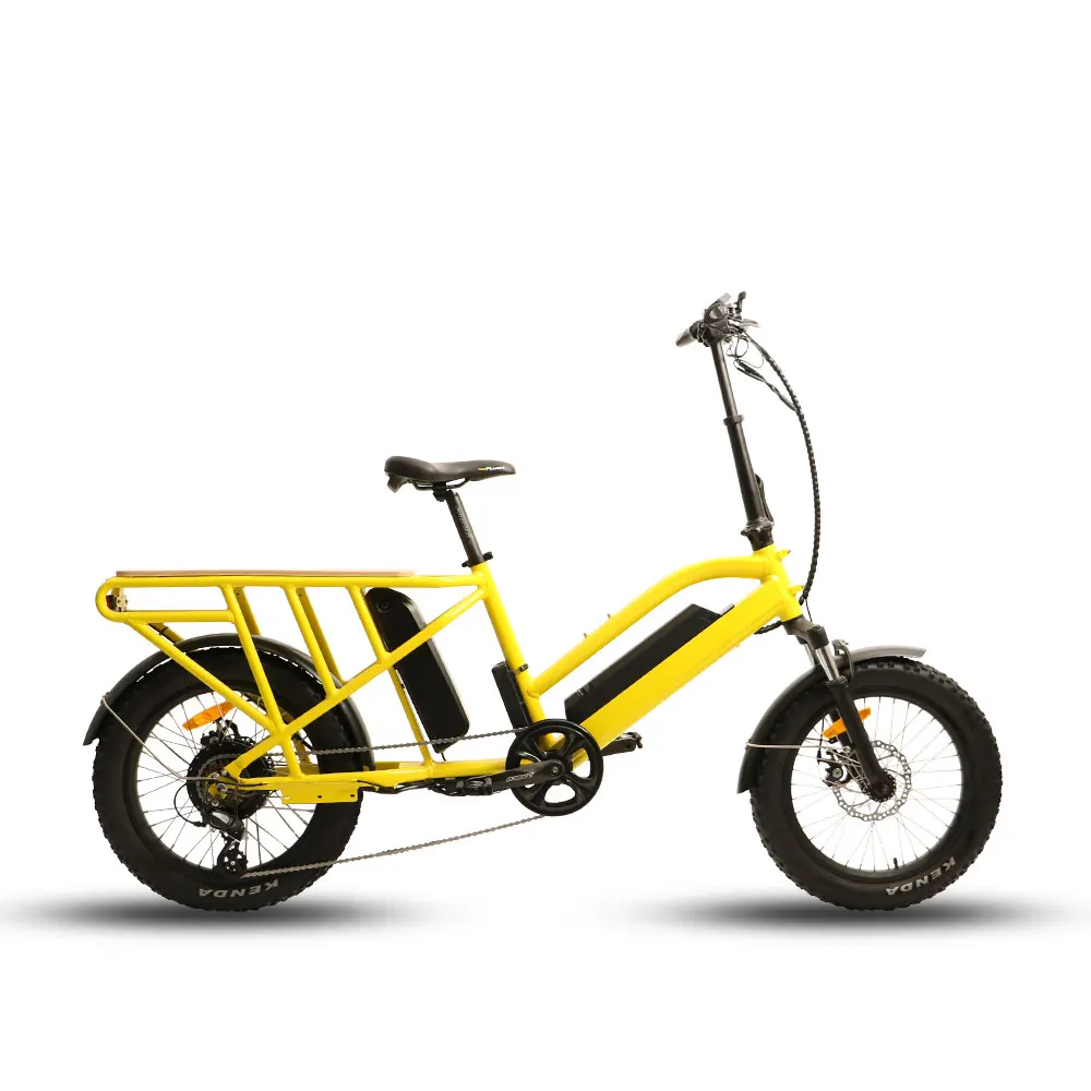 btn g30 cargo 48v500w gear hub motor electric cargo bike for