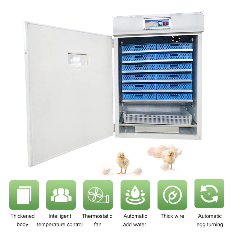 1056 egg  incubator-35.jpg